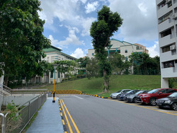 Braddell View (D20), Apartment #253220921